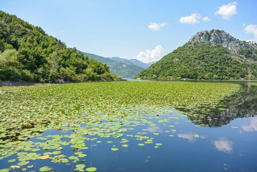 Skadarsko jezero 